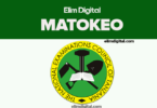 Matokeo Form Four Exam Results 2024-2025