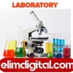 5S Steps for Laboratory Organization
