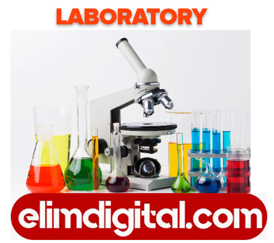 5S Steps for Laboratory Organization