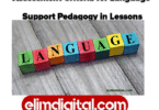 Assessment Criteria for Language Support Pedagogy in Lessons