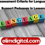 Assessment Criteria for Language Support Pedagogy in Lessons