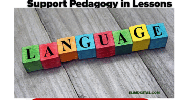 Assessment Criteria for Language Support Pedagogy in Lessons
