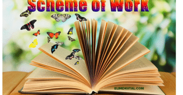 NEW FORMAT SCHEME OF WORK 2025